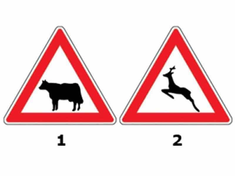 Indicatoarele alăturate te avertizează:
