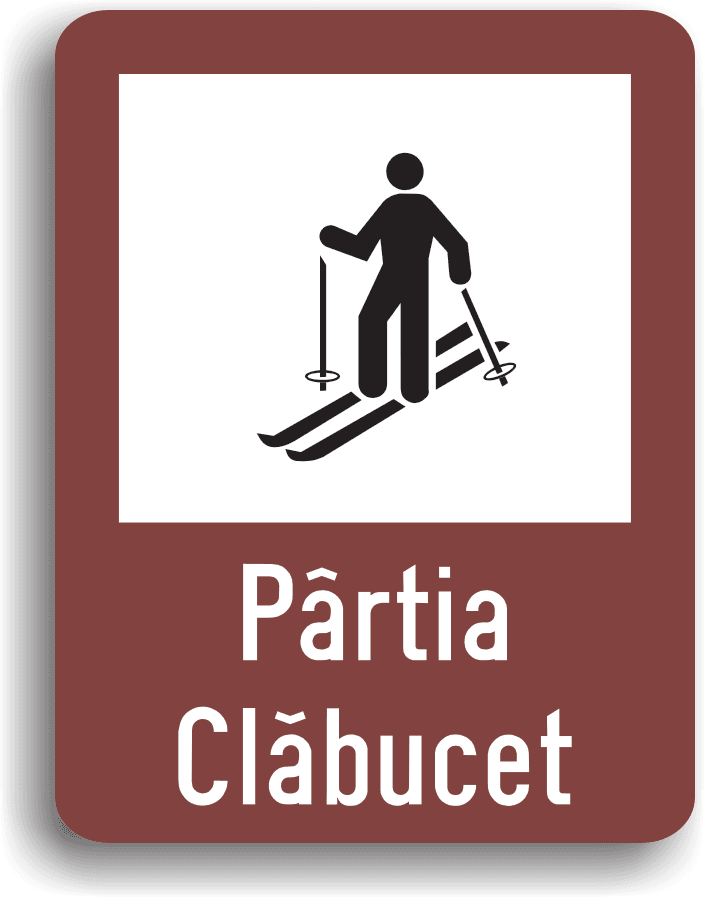 Pârtie schi