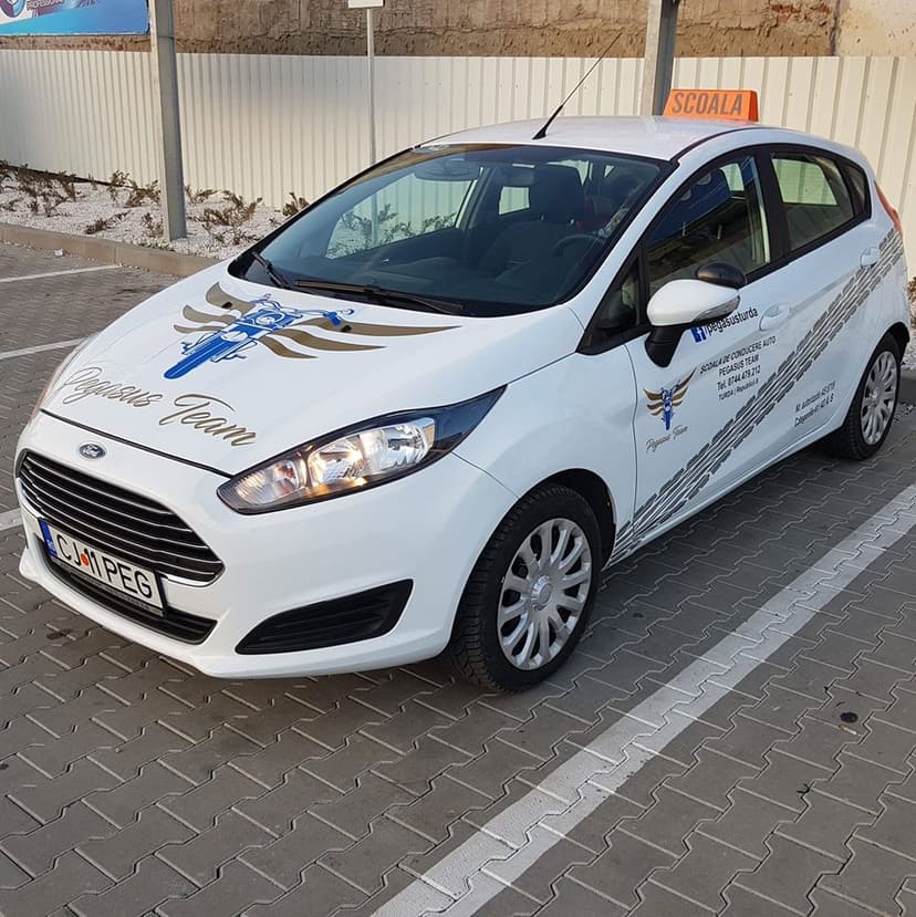 PegasusTeam-poza1 PegasusTeam-poza1