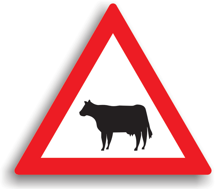 Se amplasează la 100-200 m de sectorul de drum periculos, unde există riscul ca animalele să traverseze sau să circule pe drumul public. La întâlnirea acestui indicator, conducătorul auto este obligat să reducă viteza și să circule cu atenție sporită. La trecerea pe lângă animale care sunt conduse pe partea carosabilă sau pe acostament, conducătorul auto este obligat să reducă viteza la max. 30 km/h în localitate și max. 50 km/h în afara localității. Se amplasează la 100-200 m de sectorul de drum periculos, unde există riscul ca animalele să traverseze sau să circule pe drumul public. La întâlnirea acestui indicator, conducătorul auto este obligat să reducă viteza și să circule cu atenție sporită. La trecerea pe lângă animale care sunt conduse pe partea carosabilă sau pe acostament, conducătorul auto este obligat să reducă viteza la max. 30 km/h în localitate și max. 50 km/h în afara localității.