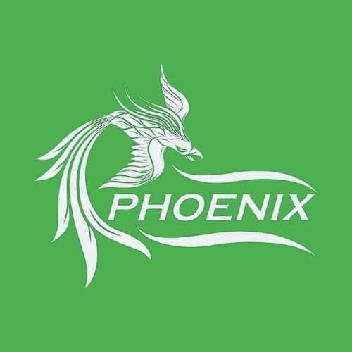 Logo șoala de șoferi Phoenix din Turda, Cluj Logo șoala de șoferi Phoenix din Turda, Cluj