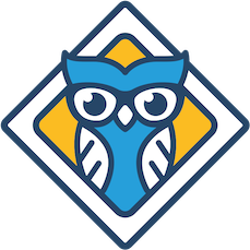 Logo SoferOnline.ro